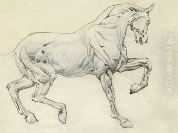 Ecorche figure of a horse Oil Painting by Sir Edward Coley Burne-Jones