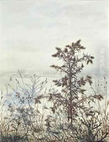 Thistles and Weeds Oil Painting by Leon Bonvin