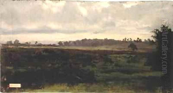 Marshlands Oil Painting by Auguste Bonheur