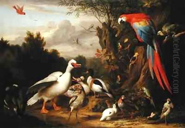 A Macaw, Ducks, Parrots and Other Birds in a Landscape Oil Painting by Giovanni Boggi