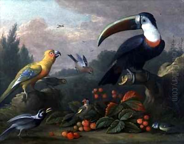 Toucan with Other Birds Oil Painting by Giovanni Boggi