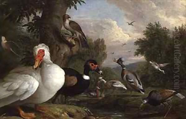 Variety of Ducks by a Pool Oil Painting by Giovanni Boggi