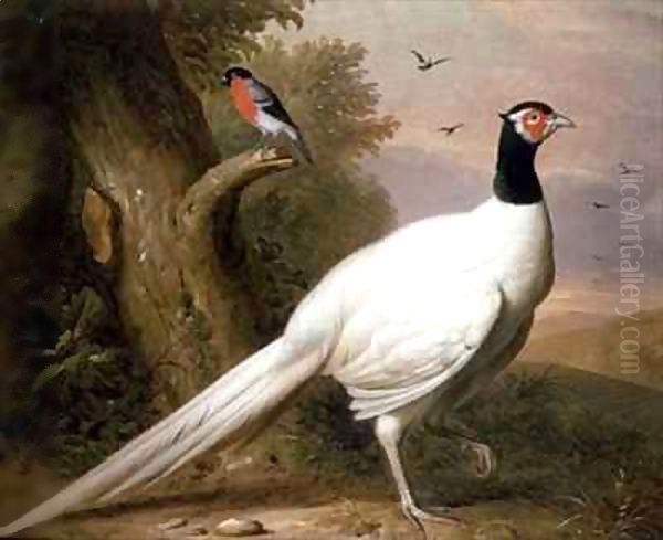 A White Pheasant in a Landscape Oil Painting by Giovanni Boggi