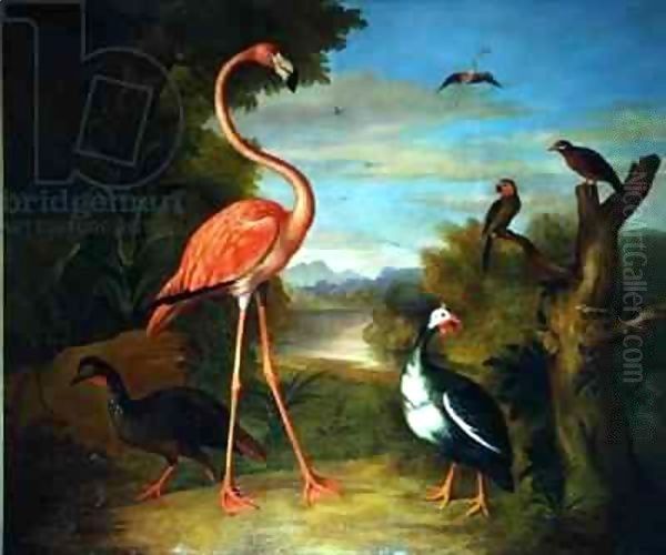 Flamingo and Other Birds in a Landscape Oil Painting by Giovanni Boggi