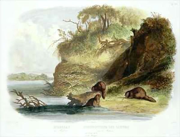 Beaver Hut on the Missouri Oil Painting by Karl Bodmer