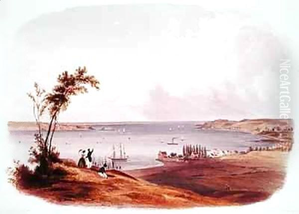 Entry to the Bay of New York, Staten Island Oil Painting by Karl Bodmer