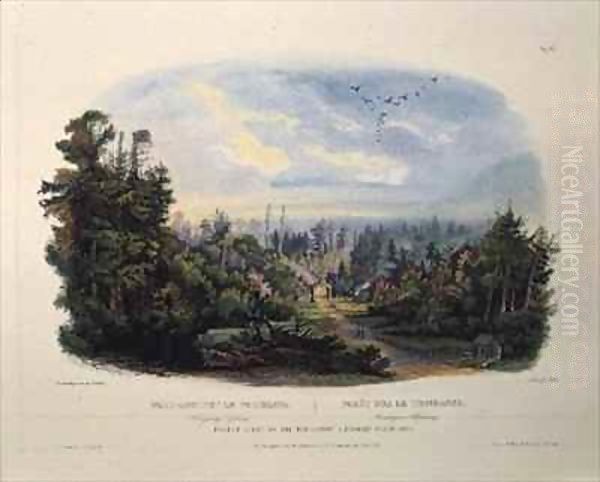 Forest Scene on the Tobihanna, Alleghany Mountains Oil Painting by Karl Bodmer