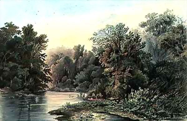 Forest Scene on the Lehigh, Pennsylvania Oil Painting by Karl Bodmer