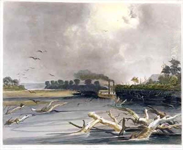 Snags (sunken trees) on the Missouri Oil Painting by Karl Bodmer