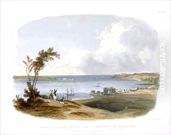 Entry to the Bay of New York taken from Staten Island Oil Painting by Karl Bodmer