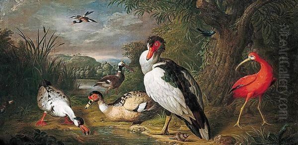 A Muscovy Duck, A Red Ibis And Other Fowl In A Landscape Oil Painting by Tobias Stranover