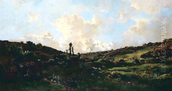 Valley On The Heath Oil Painting by Pierre-Emmanuel Damoye