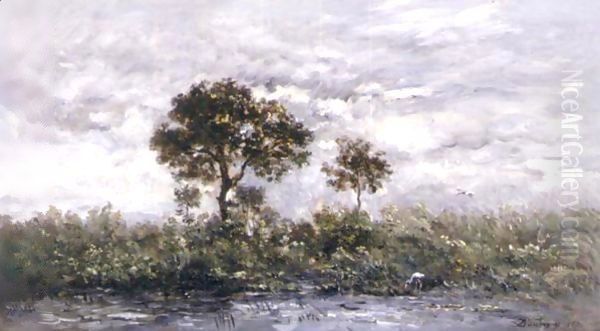 La Mare Aux Cigones Oil Painting by Charles-Francois Daubigny