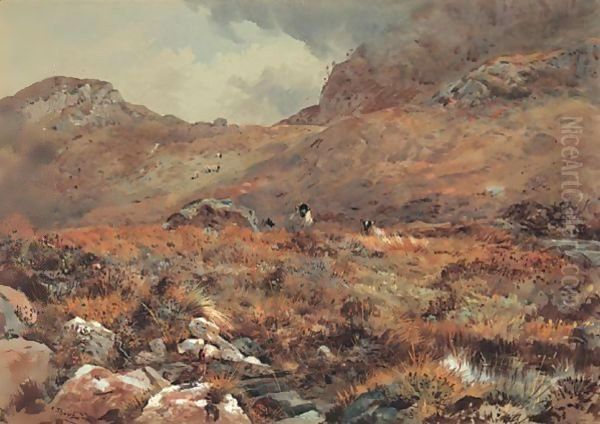 Sheep Resting In A Grouse Moor Oil Painting by Archibald Thorburn