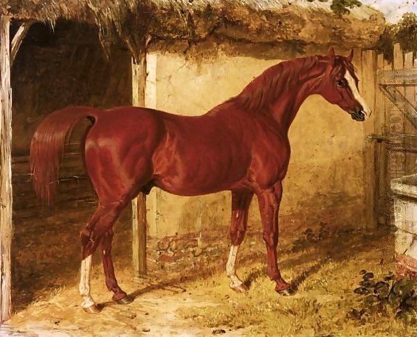 Langar, A Chestnut Racehorse Outside A Stable Oil Painting by John Frederick Herring Snr