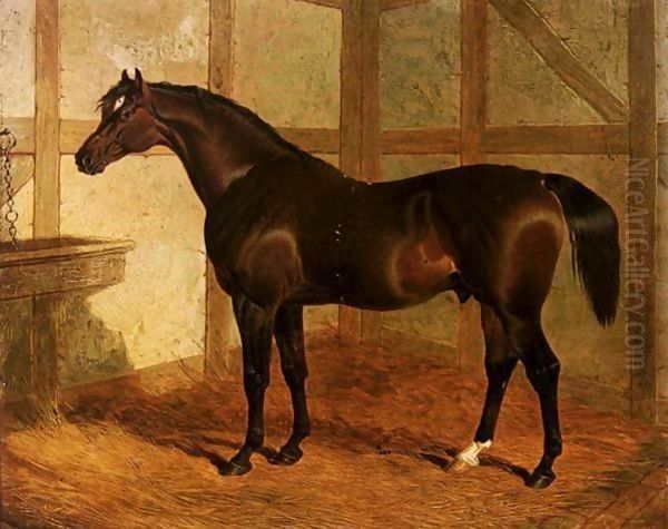 Partisan, A Dark Bay Racehorse In A Stable Oil Painting by John Frederick Herring Snr