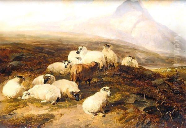 Highland Scene With Sheep And A Highland Cow Oil Painting by Thomas Sidney Cooper