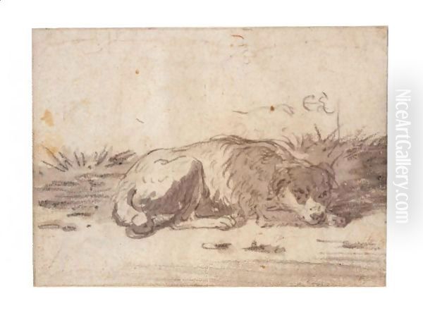 Study Of A Sleeping Dog Oil Painting by Cornelis Saftleven