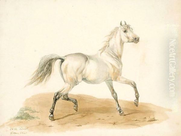 Study Of A Horse Oil Painting by Carle Vernet