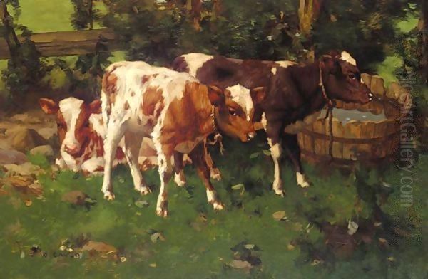 Calves 2 Oil Painting by David Gauld