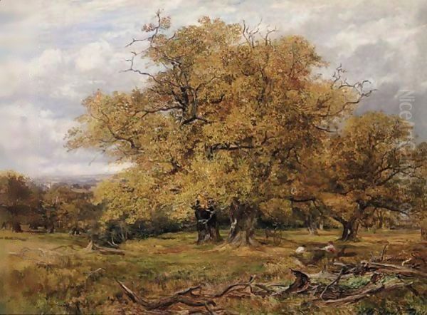 Cadzow Forest, Autumn Oil Painting by James Docharty