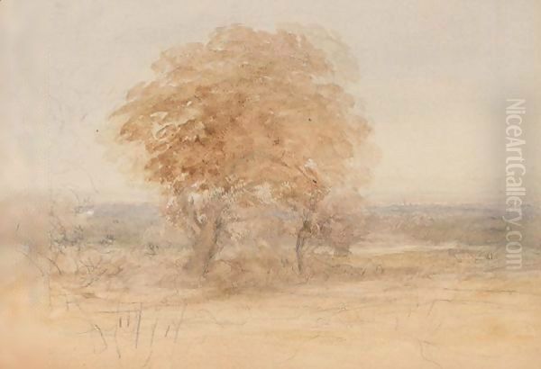 Tree In Landscape Oil Painting by David Cox