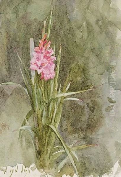 Pink Gladiolae Oil Painting by Helen Mary Elizabeth Allingham