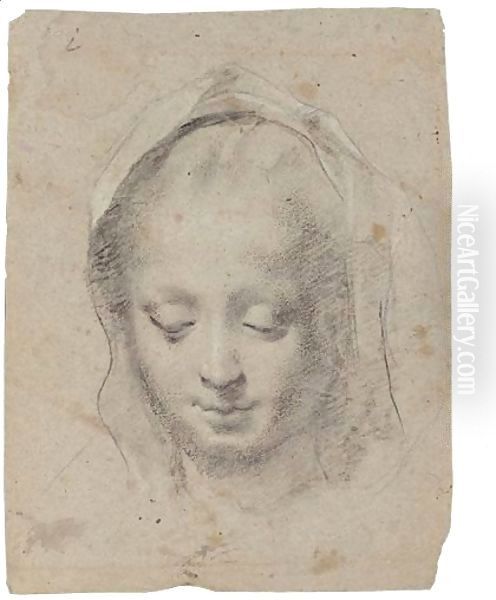 Head Of The Madonna Looking Down Oil Painting by Federico Fiori Barocci