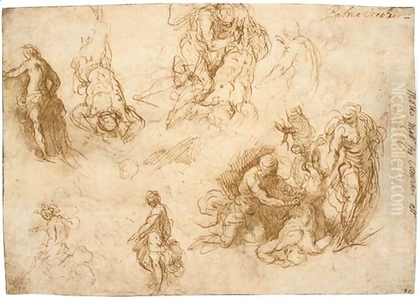 Studies For The Flaying Of Marsyas Oil Painting by Palma Vecchio (Jacopo Negretti)