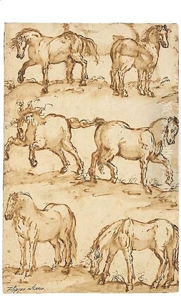 Six Studies Of Horses Oil Painting by Filippo Napoletano