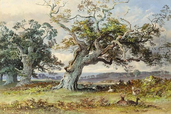 Deer In A Park Resting In The Shade Of An Old Oak Tree Oil Painting by George Arthur Fripp