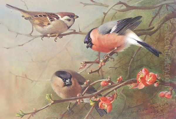 Tree Sparrow And Bullfinches Oil Painting by Archibald Thorburn