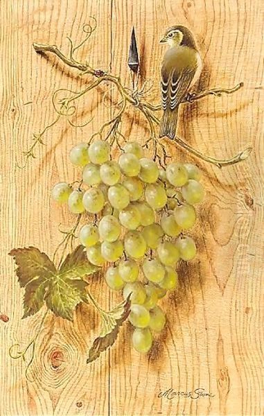 Bush Warbler With Grapes Oil Painting by Marcus Stone