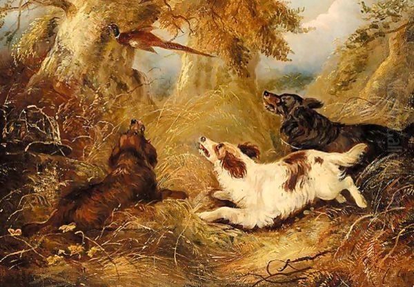 Spaniels And A Pheasant Oil Painting by George Armfield