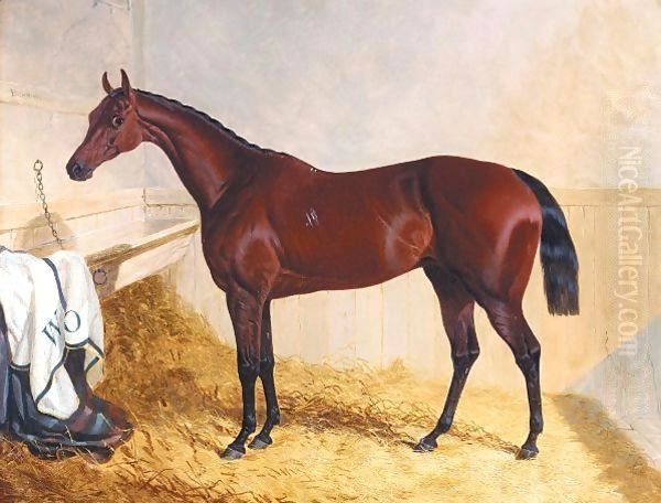 Mr William Orde's Bay Filly Bees-Wing In A Loose Box Oil Painting by John Frederick Herring Snr