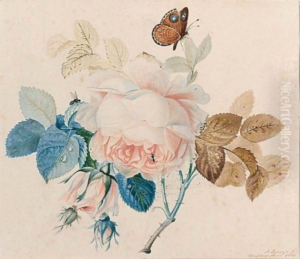 A Butterfly On A Rose Oil Painting by Johan Laurentz Jensen