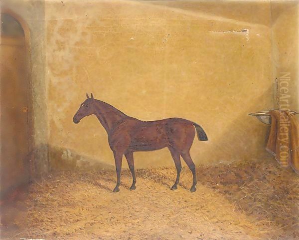 Bay hunter in a stable Oil Painting by James Senior Clark