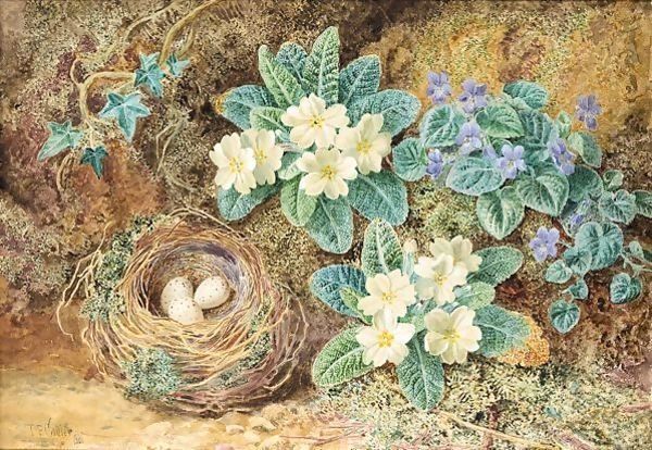 Still life of birds nest with primroses and ivy Oil Painting by Thomas Collier