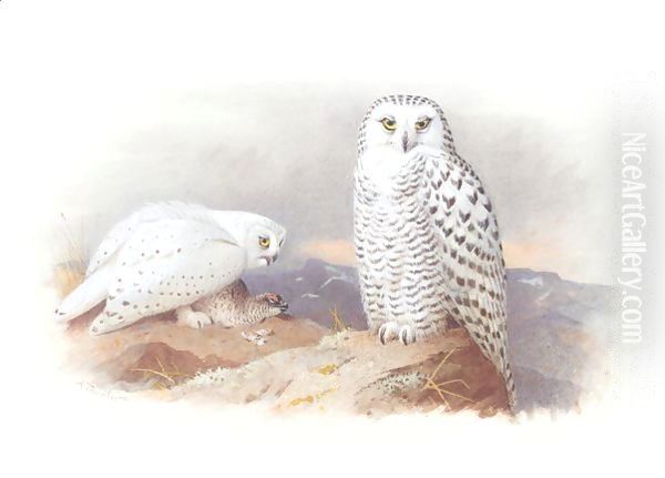 Showy Owls Oil Painting by Archibald Thorburn