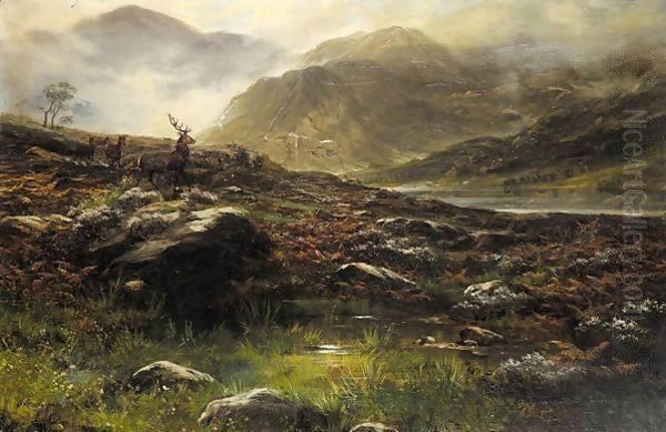 Deer in the highlands Oil Painting by John Howard Lyon