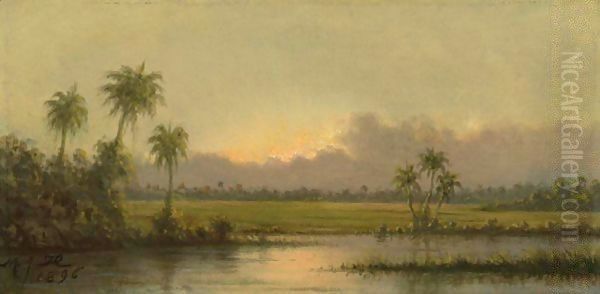 Palm Trees, Florida Oil Painting by Martin Johnson Heade