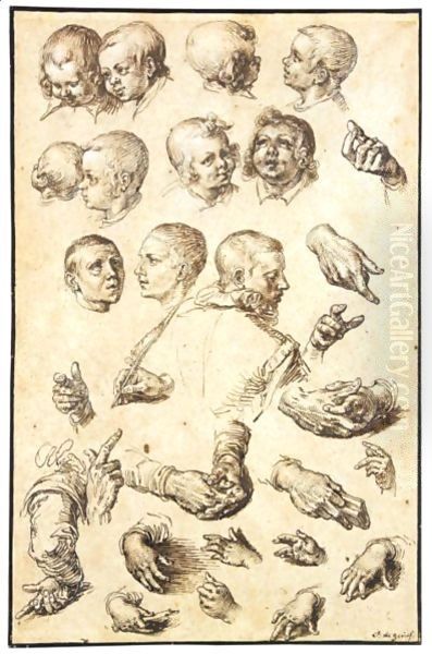 Sheet Of Studies Of Heads, Arms, Hands And A Youth Seen From Behind Oil Painting by Jacques de Gheyn