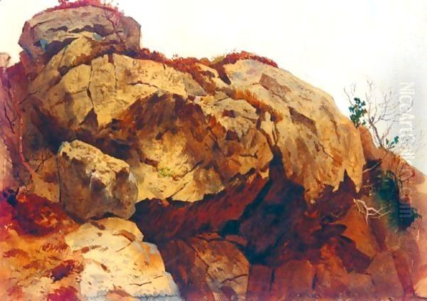 A Rocky Outcrop Oil Painting by Archibald Thorburn