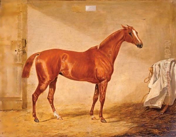 A Racehorse In A Loose Box Oil Painting by Henry Thomas Alken