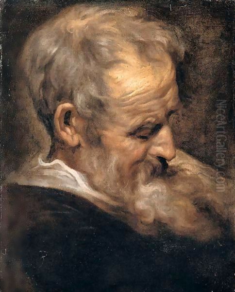 Portrait of an old man Oil Painting by Sir Anthony Van Dyck