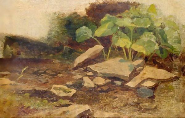 Study Of Plants And Rocks Oil Painting by William James Muller