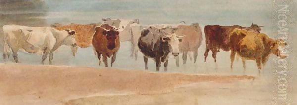 Cattle In A Stream Oil Painting by David Cox