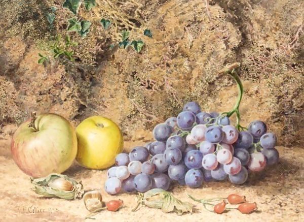 Still Life Of Apples And Grapes Oil Painting by Thomas Collier