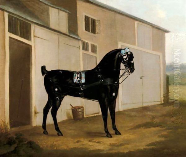 A Black Carriage Horse Outside A Stable Oil Painting by John Nost Sartorius