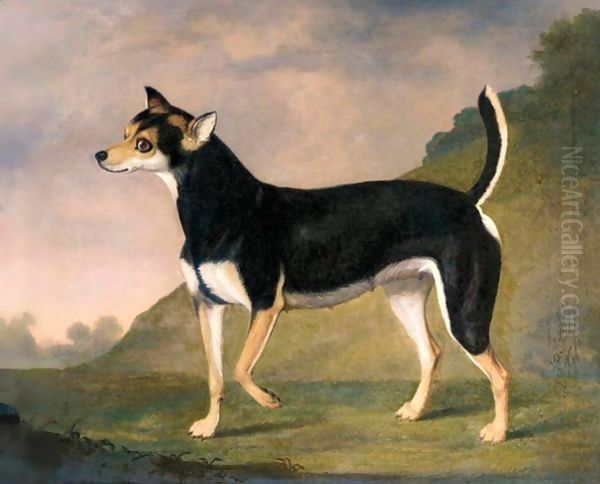 A Terrier In A Landscape Oil Painting by Francis Sartorius